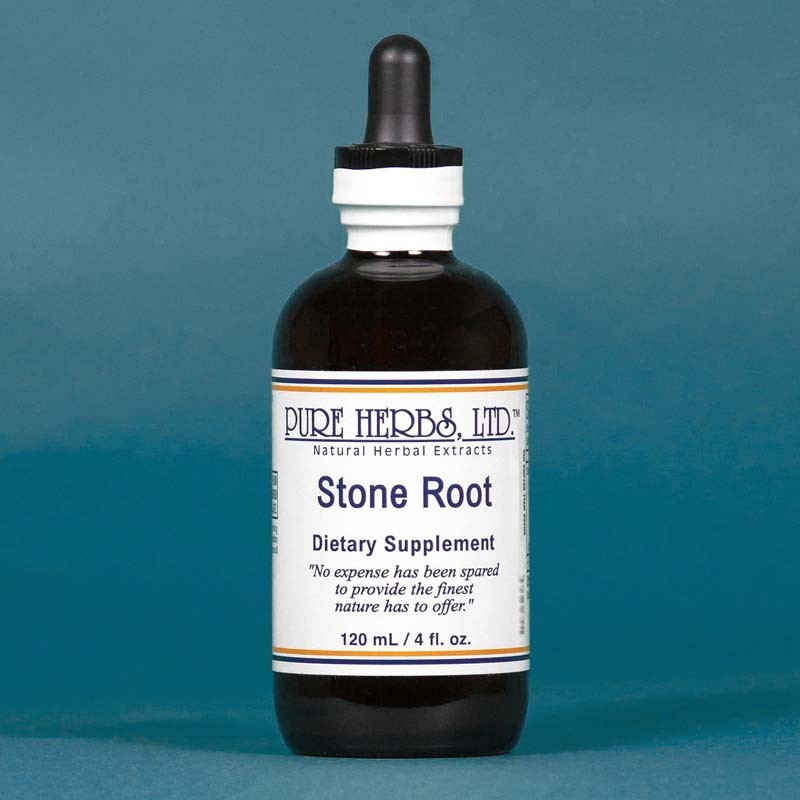 Pure Herbs: Stone Root – 4 oz. (Natural Herbal Extracts)