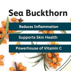 CONSA Organic Sea Buckthorn Berry Powder (200 Gram) For Vitamins & Minerals