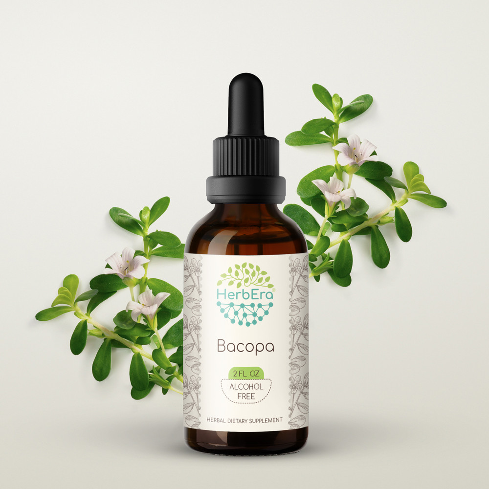 HerbEra Bacopa Alcohol-FREE Herbal Extract Tincture Organic (Bacopa Monnieri)