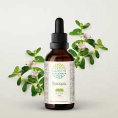 HerbEra Bacopa Alcohol-FREE Herbal Extract Tincture Organic (Bacopa Monnieri)