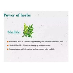 Himalaya Shallaki 60 Tabs Pack of 1 Joint & Bone Herbal Support Exp 03-2027
