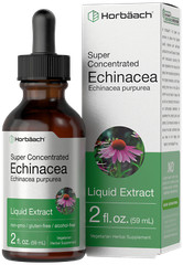 Echinacea Liquid Extract | 2 fl oz | | Alcohol Free, Vegetarian | by Horbaach