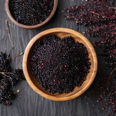 Elderberry Tincture Elderberry Extract Immune Support Sambucus Nigra – USA