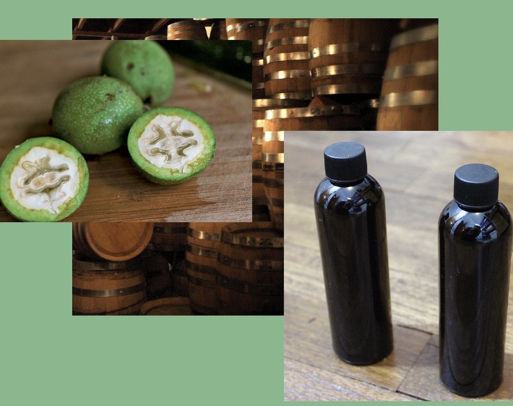 Black Walnut Extract 8 oz Organic Ripe Green Hulls of Juglans nigra Tincture