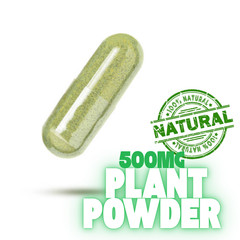 Papaya Leaf Capsules | 60/120 Ct | Vegan | 100% Natural Digestive & Immune Aid