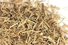 Eleuthero Root Organic Herb c/s – choose qty. by ounce or in tea bags
