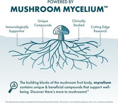 Reishi Extract – Heart & Immune Health Support Supplement – Mushroo