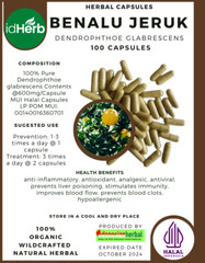 CAPSULE Dendrophthoe glabrescens Smooth Mistletoe Natural Organic Herbal Herbs