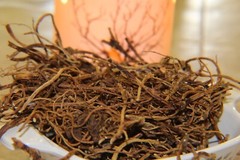 Mandrake Root – Whole Dried Root, Appalachian Mountains Wild Harvest