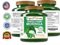 Moringa Oleifera Organic, Natural, 100% Pure Pills – 120 Count – 1 Pack