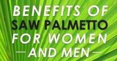 Prostate support – SAW PALMETTO EXTRACT – 1B/100 Capsules – saw palmetto