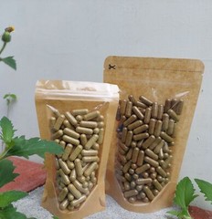 Capsules Blue Porterweed Blue Snake Weed Brazilian Tea Jamaica Vervain