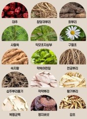 KOREA NO.1 Korean 6 Years Red Ginseng Extract 365, Saponin,Panax 240g x 4ea NEW