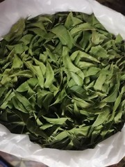 Freshly Picked Dried NEEM LEAVES Herbal Pure Organic Premium Quality Herb