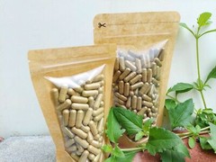[idHerb] CAPSULES PASAK BUMI – EURYCOMA LONGIFOLIA Natural Organic Herbal FRESH