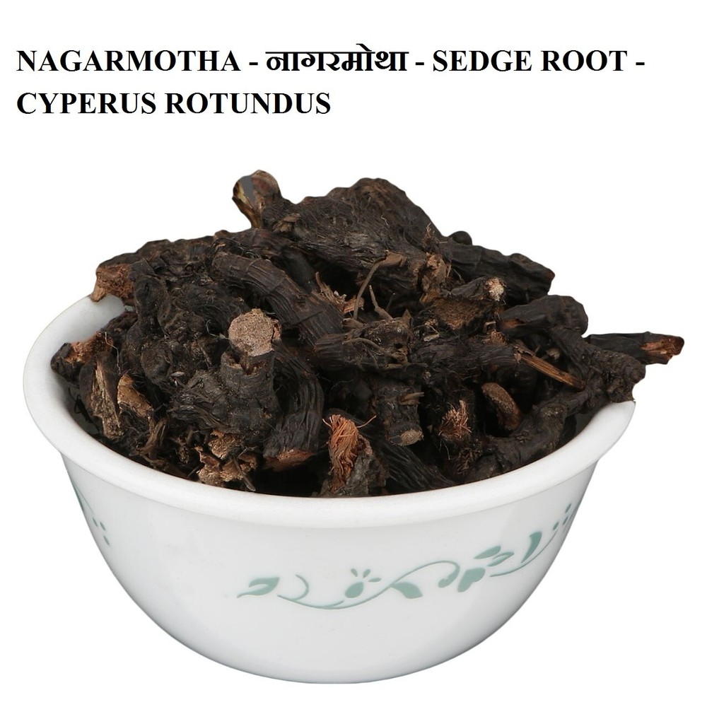 NAGARMOTHA – SEDGE ROOT – CYPERUS ROTUNDUS -Su’d Kufee Whole 50gm /1.76 oz