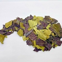 Blue Lotus, Nymphaea caerulea, Organic Leaf ~ Schmerbals Herbals