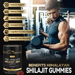 Grevol Himalayan Shilajit Gummies: Gold Grade 60 Count (Pack of 1)