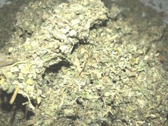 MULLEIN & DAMIANA & MARSHMALLOW herb blend ORGANIC leaf mix – oz 1 2 4 8 lb