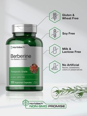 Berberine HCl | 120 Capsules | Vegetarian, Non-GMO, Gluten Free | by Horbaach