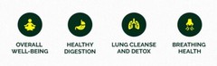 Mullein Drops for Lungs Cleanse – USDA Organic Mullein Leaf Turmeric Extract 4oz
