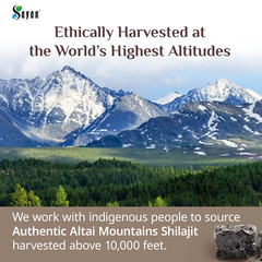 Pure Shilajit Resin 5 Month Supply Golden Grade Altai Mountains Russia