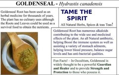 Goldenseal Root – Cut and Sifted Root, Appalachian Mountains Wild Harvest