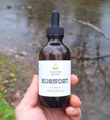 Mugwort Tincture, Herbal Extract, Double Extract, Dream Herbs, Relax, Digestion