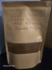 CHAGA “WILD” HARVESTED IN 2025 FROM CENTRAL MINNESOTA 8 ounces