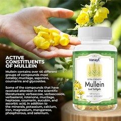 Mullein Leaf Capsules for Lung Cleansing & Detox Herbal Dietary Supplement 120pc