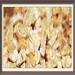 ASTRAGALUS ROOT With Absolutely No Additives High Potency 100 Vegetarian Capsule