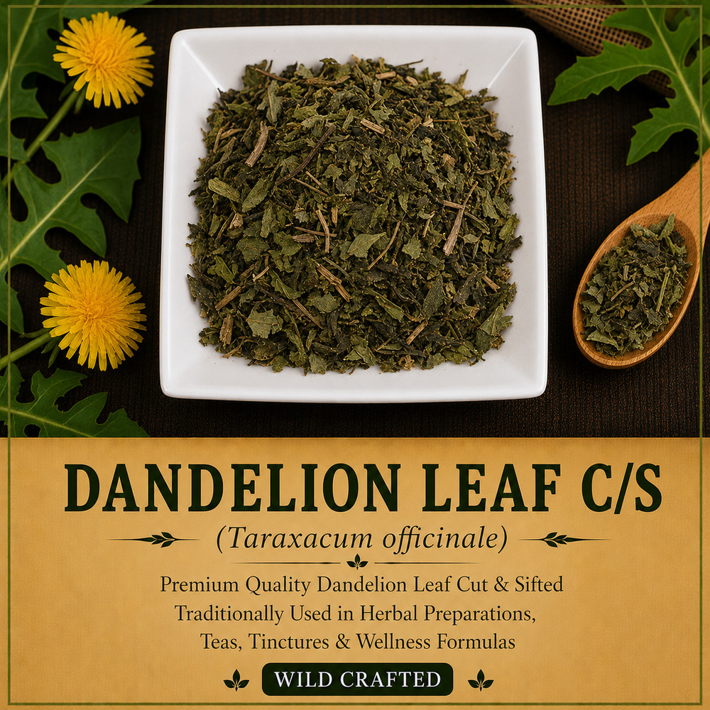 Dandelion Leaf C/S Wild Crafted Taraxacum officinale Premium Herb | USA | Fresh