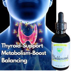 Bladderwrack Tincture Natural Organic Liquid Herbal Drops 2 oz Thyroid Support