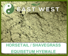 Horsetail – Shavegrass – Equisetum Hyemale Powder