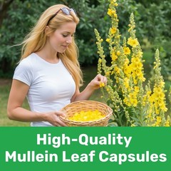 15 IN 1 Lung Complex Mullein Leaf Extract For Lungs Detox Cleanse 60/120 Caps