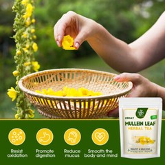 Mullein Leaf Tea for Lung Cleanse Herbal Leaf of Flowers Detox Enhance Immune