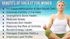 Pure Himalayan Shilajit Soft Resin Extremely Potent Natural Fulvic Acid 20gm