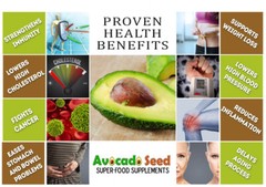 1 lb. Raw Avocado Seed Powder – Antioxidants, Fiber, Blood Sugar + Cholesterol