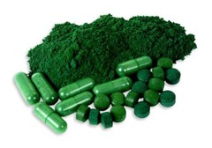 Fat burner pills – STEM CELL ACTIVATOR 500mg – 1 Bottle – spirulina