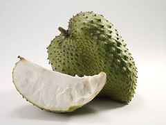 Graviola Tea Bags Mega Pack (100) Pure Leaf Soursop-Annona muricata – Guanabana