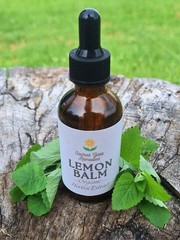 Lemon Balm Tincture, Herbal Extract, Anxiety Relief, Sleep Aid, Stress,Digestion