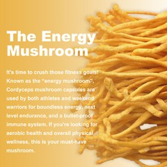 120pcs Cordyceps 1000mg – Mushroom Extract-Boost Energy & Stamina,Immune Support
