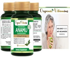 3 ANAMU 1250 mg 360 capsules LOW SUGAR CONTROL CIRCULATORY SYSTEM Organic