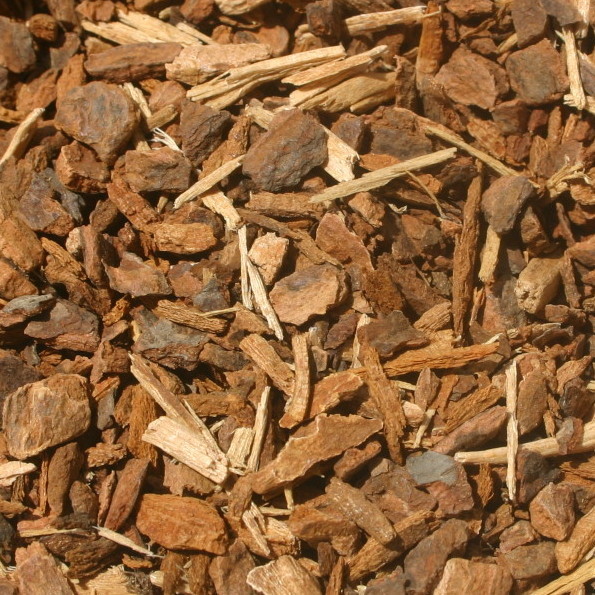 Wild Cherry Bark BULK HERBS 1 lb.