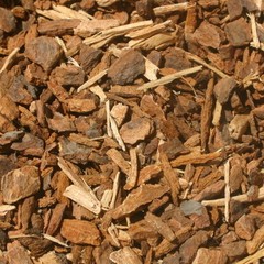 Wild Cherry Bark BULK HERBS 1 lb.
