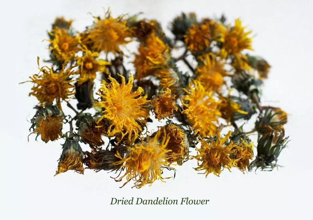 1 oz Organic Wild Dried Minnesota Dandelion Flowers,(Taraxacum)