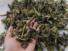 100g Dream Herb Calea Zacatechichi Leaf Powder Schmerbals Herbals Free Shipping