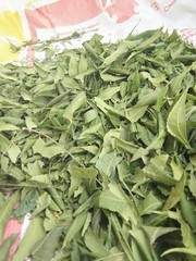 Freshly Picked Dried NEEM LEAVES Herbal Pure Organic Premium Quality Herb