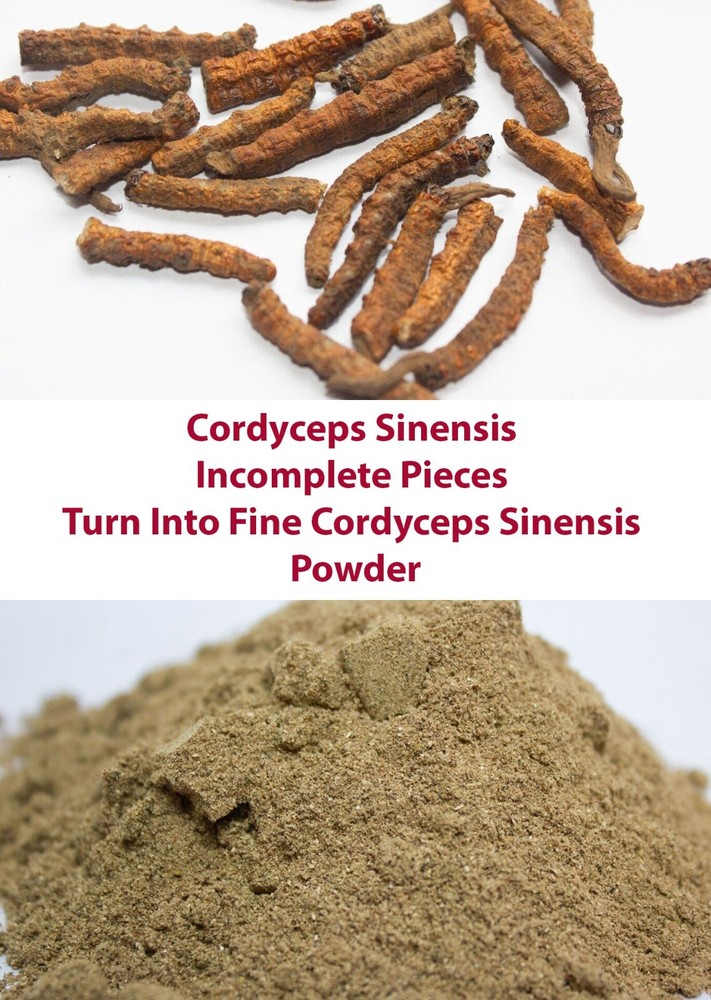 Wild Cordyceps Sinensis-Powder-Himalaya Nepal (5g-15g-30g) Bitter Test