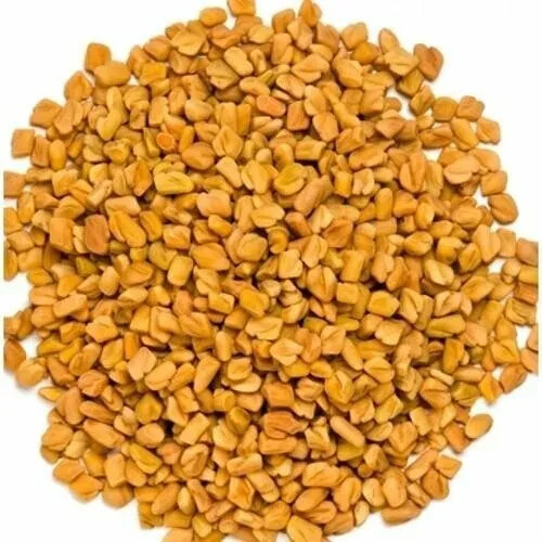 Fenugreek Methi Seed 100% Pure Organic Trigonella Foenu Whole Methi Seed